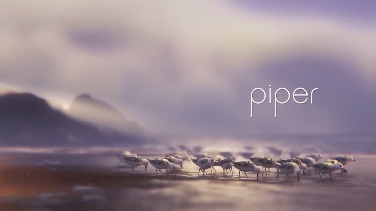 第89届奥斯卡最佳动画短片-鹬 Alan Barillaro-一个博客